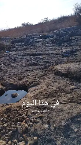 #في هذا اليوم