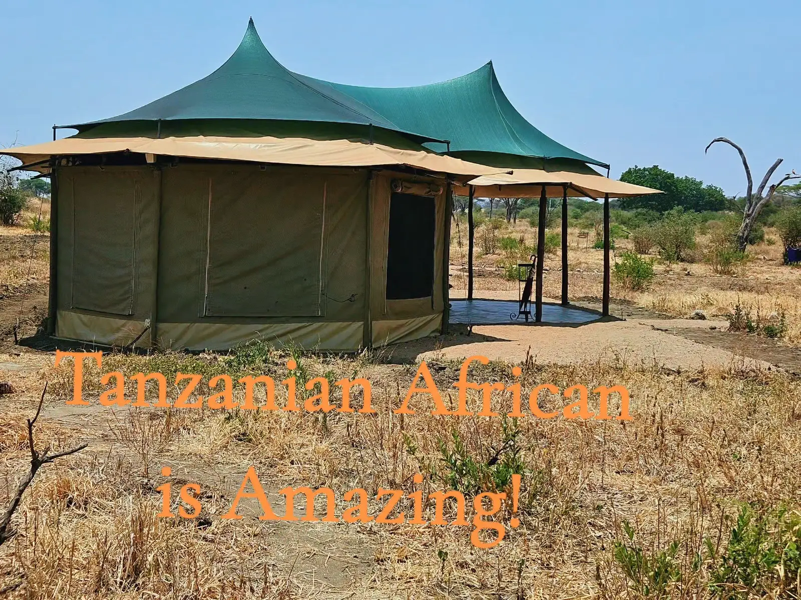 Africa did not disappoint!!🧡🧡🦧🦍🐒🐆