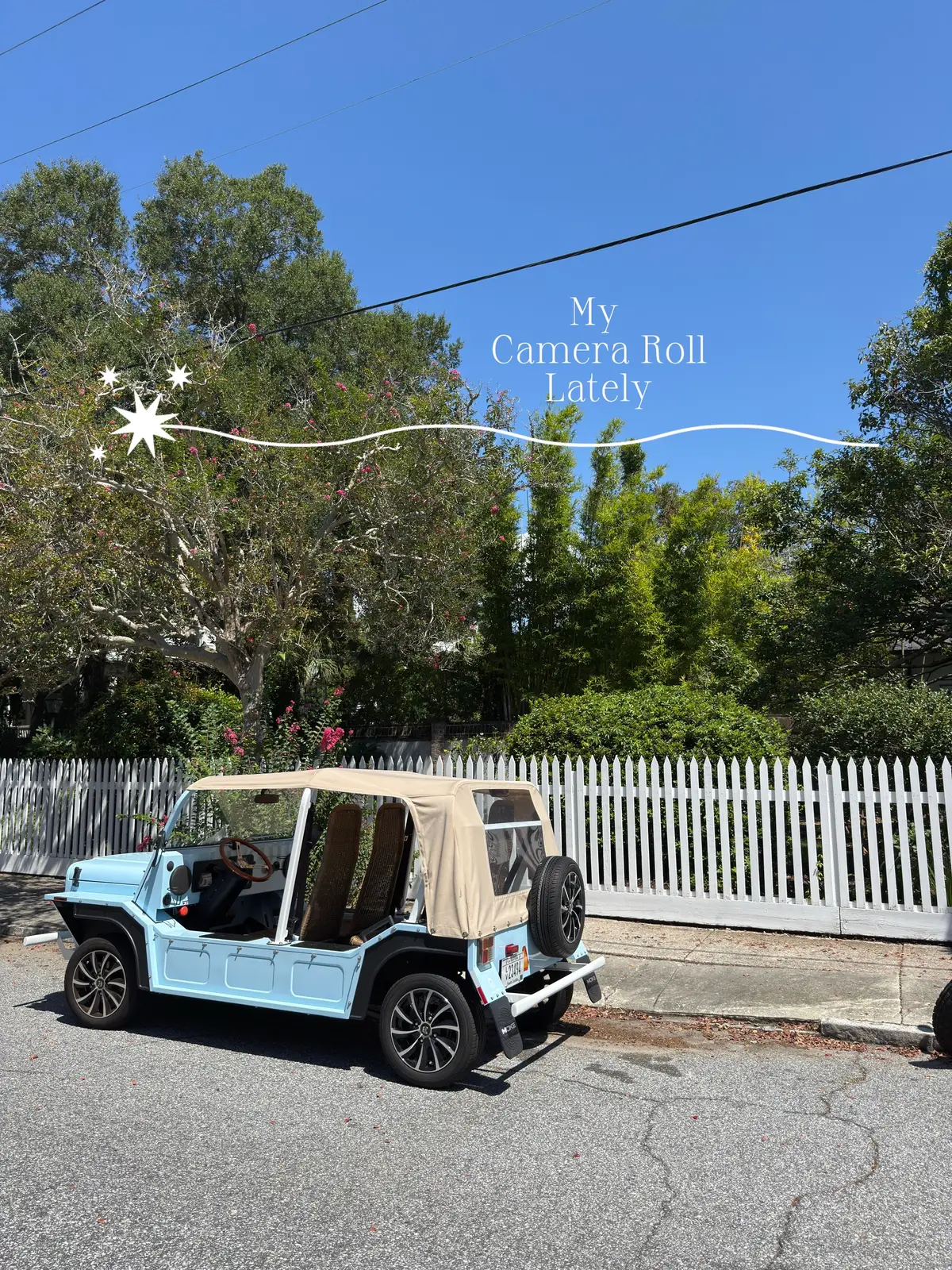 The vibes lately have been impeccable 