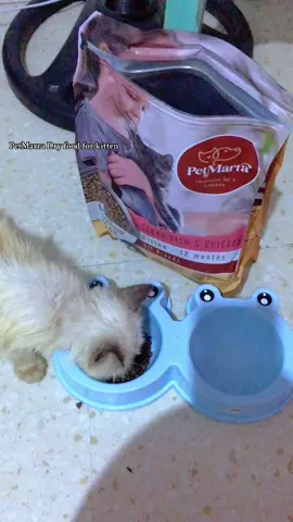 1kg PetMarra Dry food kitten #petmarra #petmarradryfood #catsfood #creatorsearchinsights  