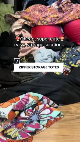 ✌️🍄Solve your storage issues easy & cutesy🍄‍🟫👀💕 . these zipper storage totes are an affordable cute way to stow your goods..up to 35 lbs . get yours for home or travel while ya can!  . #storagebags #storagehacks #storage #storagebox #storagesolutions 