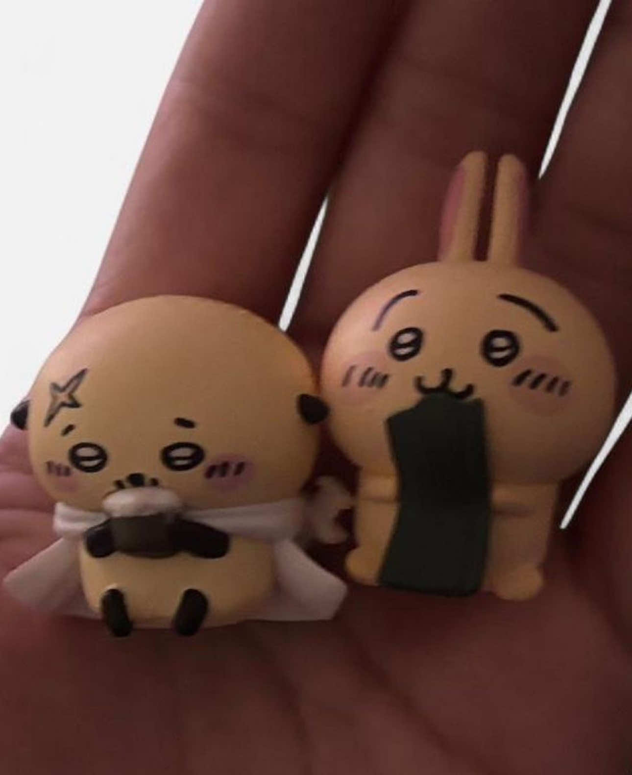 rakko and usagi in the same dimension? this is so tuff @aprilloveaffair #rakko #usagi #chiikawa #fypシ #foryou 