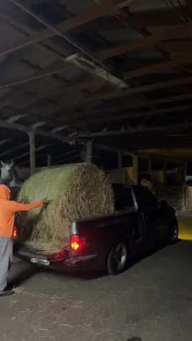Farm use#rancho #svt #foryourpage #diesel #trucksoftiktok  