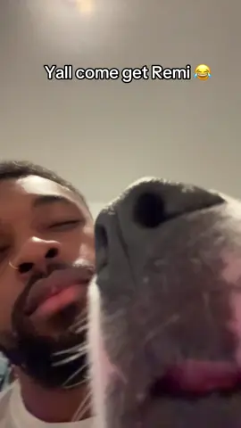 😂😂 get out my ear Remi 