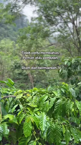 penting bismillah#petanikopi #petanimilenial #petanimuda 