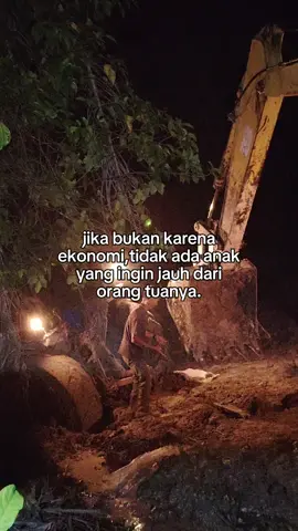 #kulisawitkalimantan🌴🌴 #kulisawit🌴 