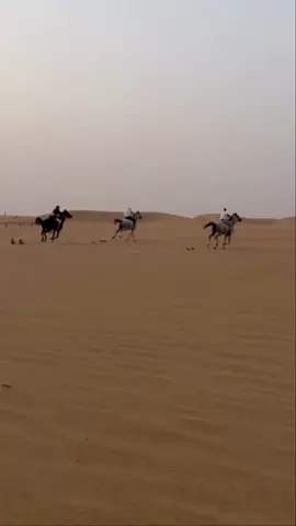 وينهم من الشواط##الابطال 