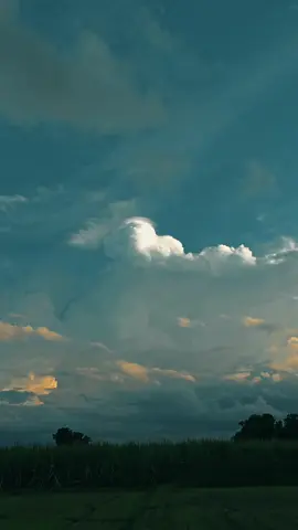 อาการร้องไห้คนเดียว มักเกิดขึ้นเมื่อเรากำลังเผชิญกับความรู้สึกที่หนักหน่วงภายในใจ ซึ่งอาจเกิดจากหลายสาเหตุ เช่น ⸻ 🧠 ด้านจิตใจ:  • ความเครียดสะสม เช่น ปัญหางาน เงิน ความรัก หรือครอบครัว  • ความรู้สึกโดดเดี่ยว ไม่มีใครเข้าใจ ไม่มีที่พึ่งทางใจ  • ภาวะซึมเศร้า บางคนไม่รู้ตัวว่ากำลังเผชิญอยู่  • ความเศร้าแบบไม่มีคำอธิบาย เหมือนมีอะไรบางอย่างในใจที่พูดออกมาไม่ได้  • การกดอารมณ์ไว้ตลอด จนวันหนึ่งมันล้นออกมาด้วยน้ำตา #รักทางไกล #รักต่างวัย #บ้านเรา  @บ้ า น ก ล า ง น า 