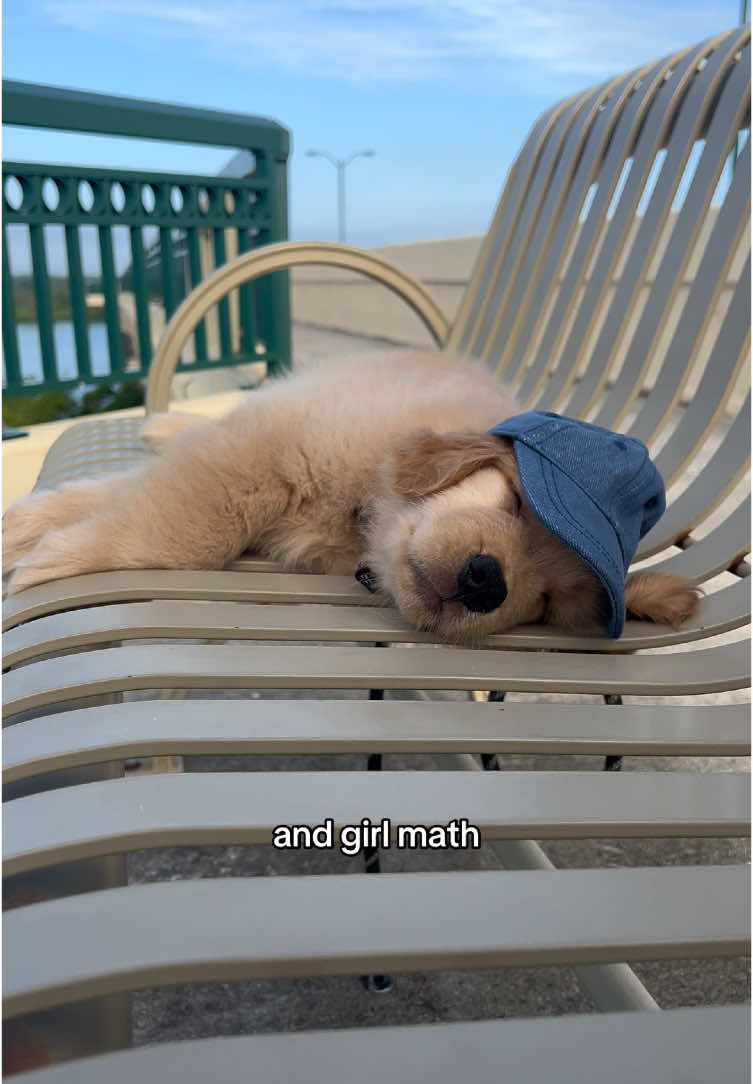 Tucker would LOVE to be friends with you🥰🐾#puppy #dog #goldenretriever 