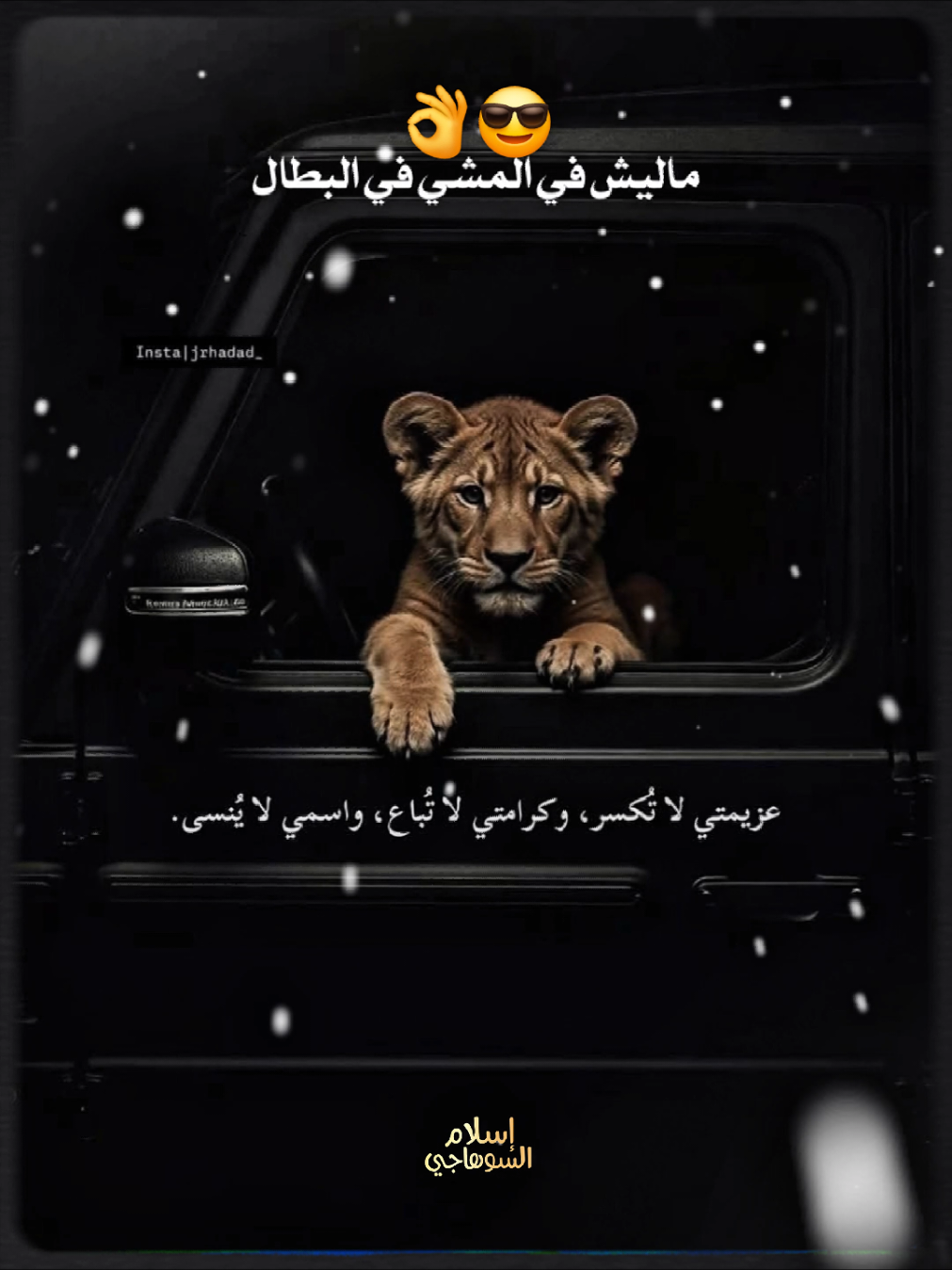 ضهوري قليل حضور خطير😎👌#foryou #تصميم_فيديوهات🎶🎤🎬 #اسلام_السوهاجي #foryoupage #fyp 