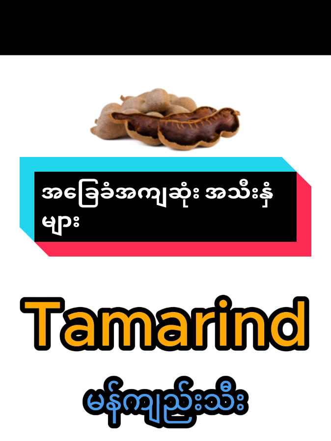 အင်္ဂလိပ်လို အသီးအနှံများ #grammar #ဝေါဟာရ #english #fyp #အင်္ဂလိပ်စာလေ့လာရန် 