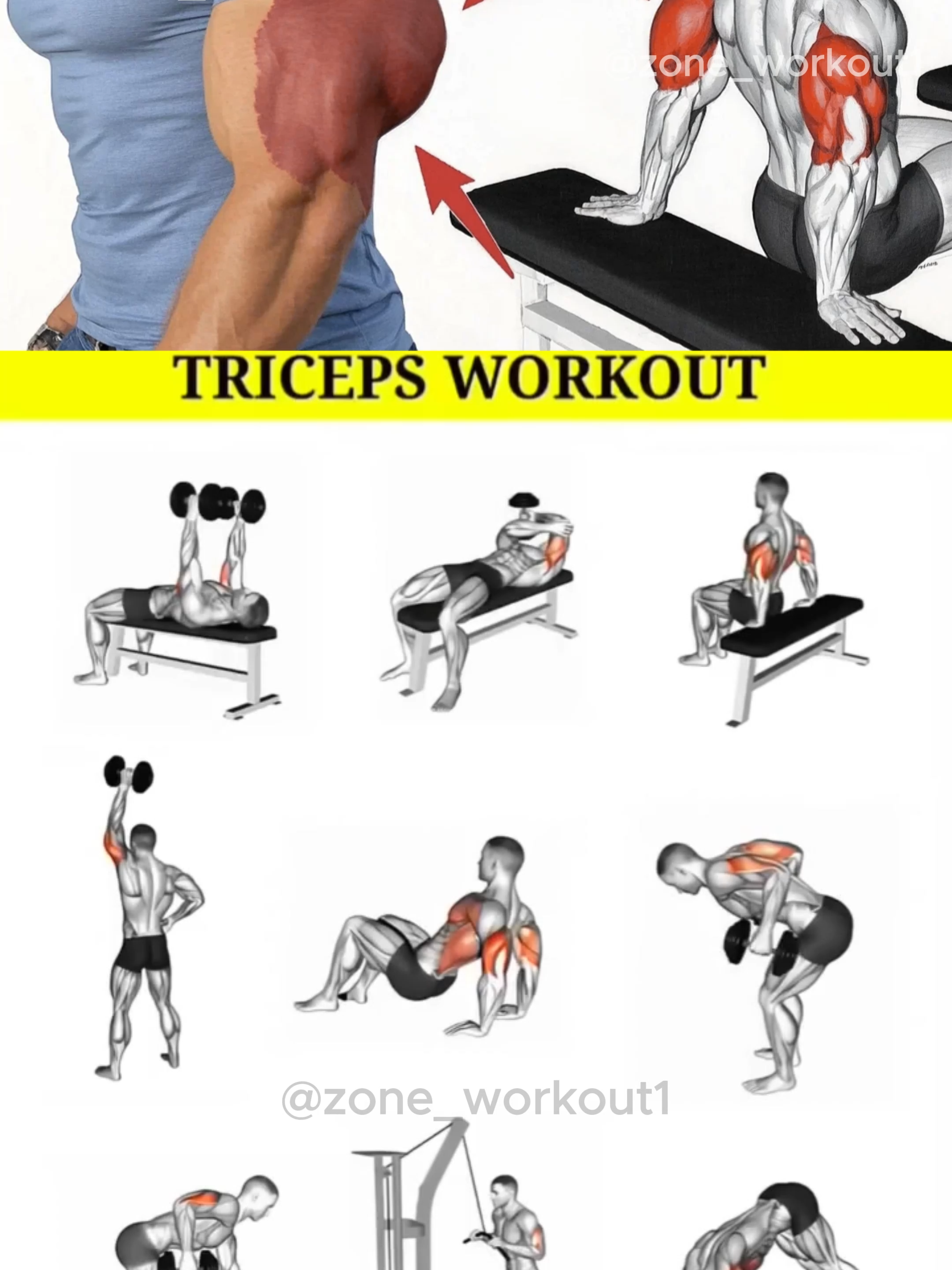 Ready to build massive triceps? 💪 Save this workout for your next arm day and feel the burn! 🔥 #workout #gym #GymTok #Fitness #triceps #tricepsworkout #armday #bodybuilding #gymmotivation #fitnesstips #muscle