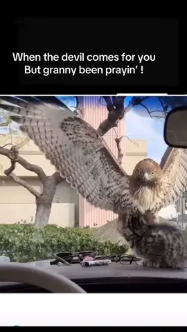 He gonna try #pray #granny 