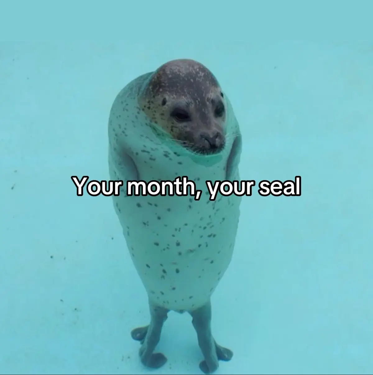 Your month, your seal #seal 