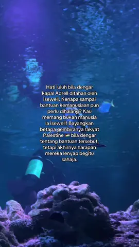 Semoga kapal yang masih lagi berlayar selamat smpai ke Gaza..aamin#foryoupage #freepalestine #sumud