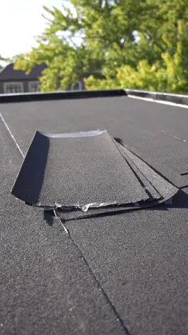 Mastering the Art 🖼️