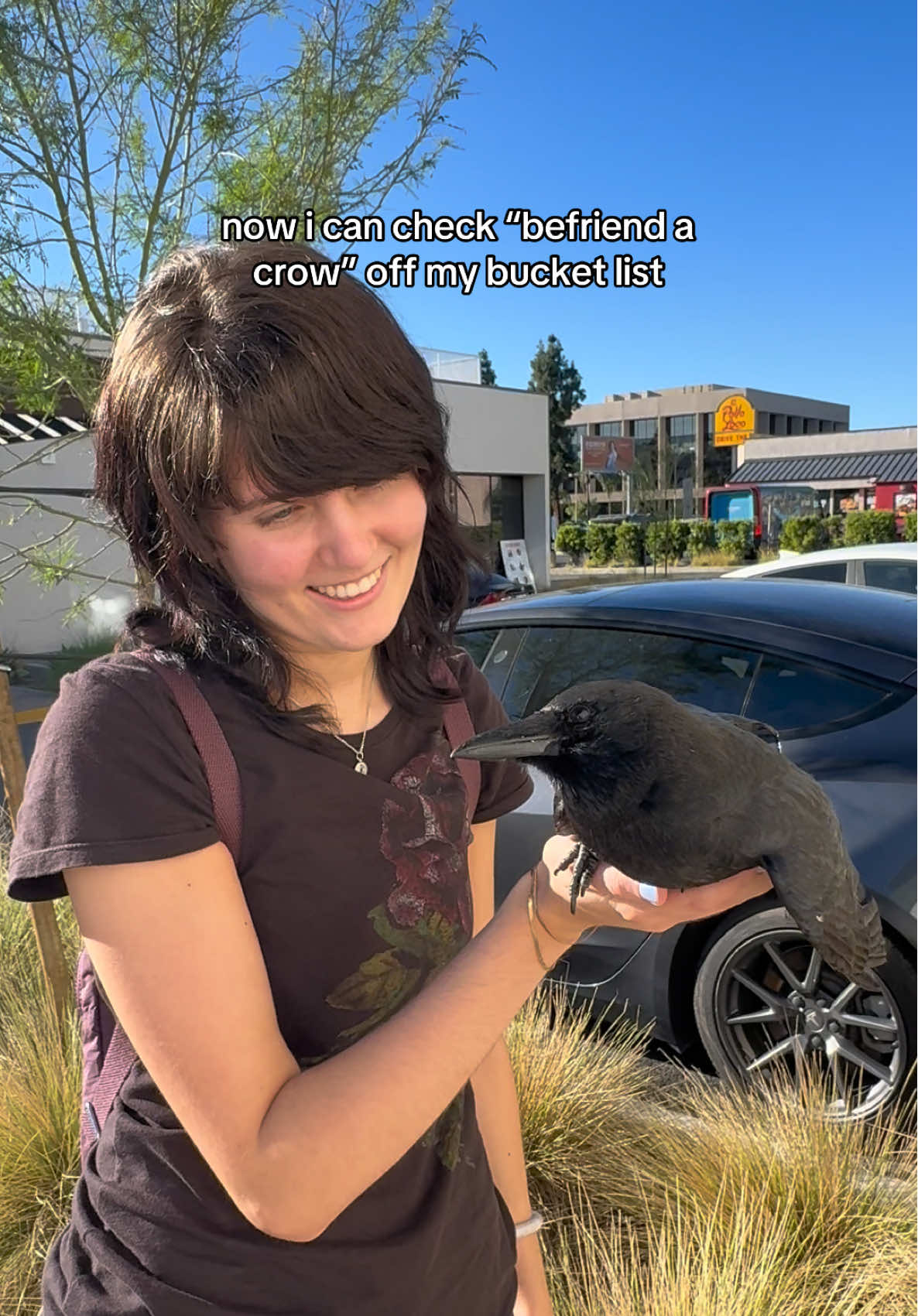 HOLY MOLY #crow #birdsoftiktok #fyp 