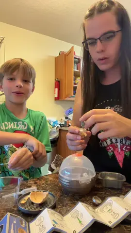 Enjoy this Dino embryo journey with us🤣 #queeniescreations #dinosaurs #embryo #miniverse #miniversemakeitmini 