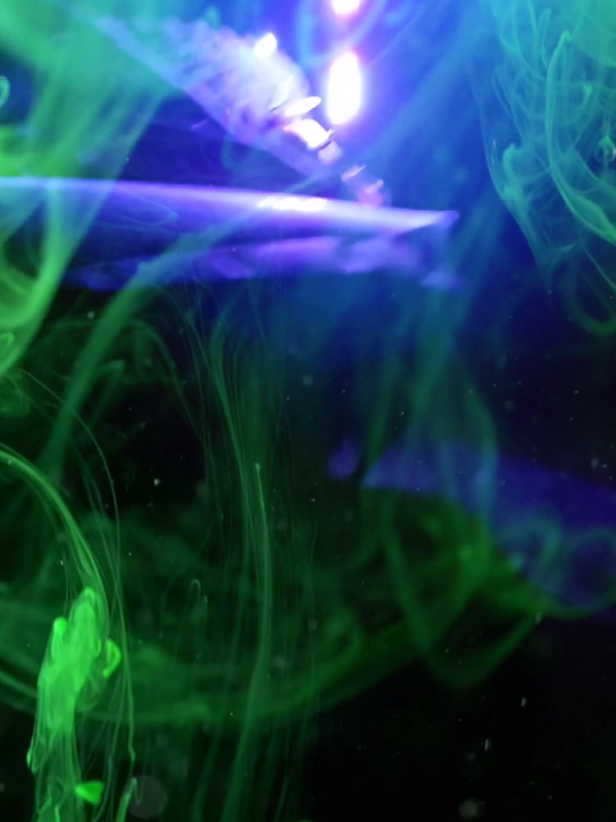 #CapCut #fyp #kawasaki #1000cc #krx 