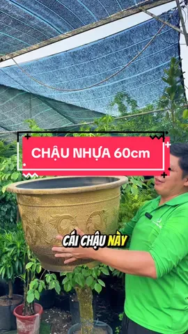 Chậu Nhựa Đồng #chaunhuatrongcay #chaunhuadong #chaunhuasondong #chaunhuanuoica #chaunhuanuoicalon 