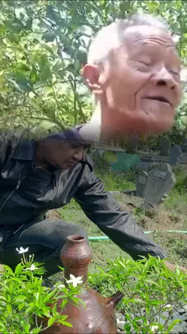 #CapCut 
