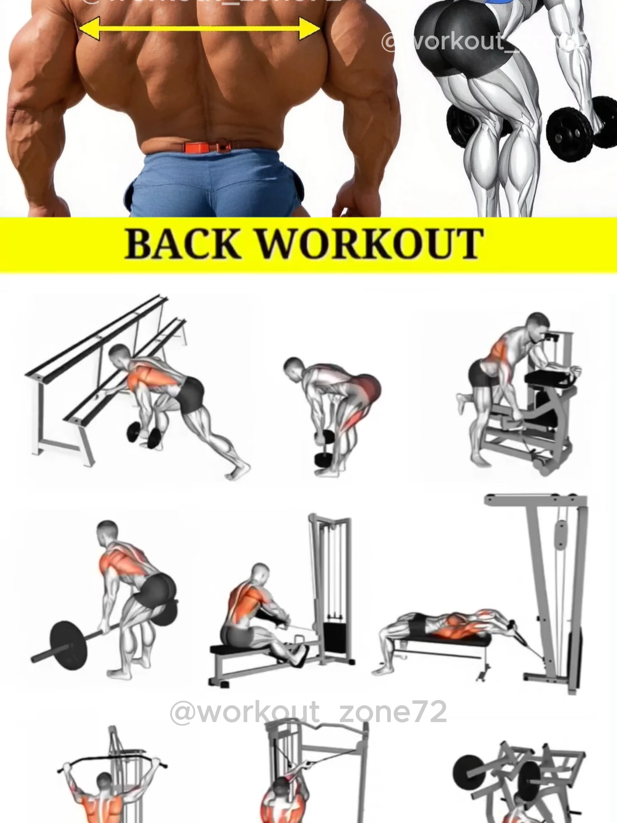 Level up your back workout with these essential moves. 💪 From rows to pull-downs, we've got your entire back covered for maximum growth. #backday #backworkout #workout #gym #Fitness #GymTok #bodybuilding #muscle #gains #fitnesstips