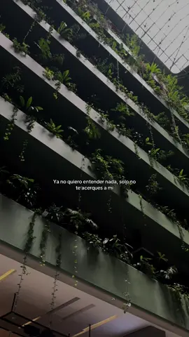 :( #paratii #greenscreen #paratiiiiiiiiiiiiiiiiiiiiiiiiiiiiiii #fypシ゚ #fyp 