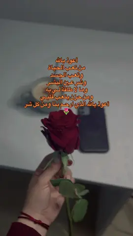 #لايك #قران #ليبيا🇱🇾 