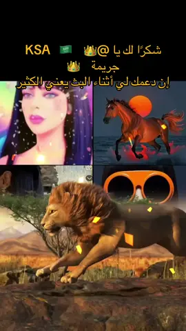 ‏يا 👑    KSA   🇸🇦  جريمة    👑، شكرًا لك على الدعم الرائع أثناء البث! سأستمر في صنع محتوى بث مباشر أفضل!@👑    KSA   🇸🇦  جريمة    👑 #tiktoklive #livehighlights #livegift #tiktokuniverse #lion 