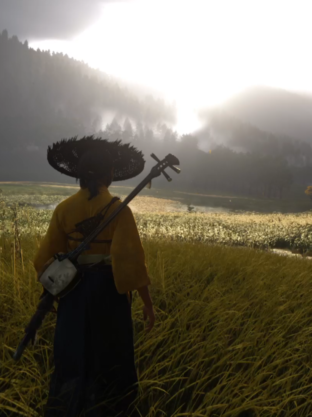 GOTY #ghostofyotei #playstation #gaming #paisajes #atsu 