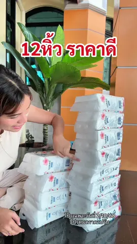 1000แผ่น แขวนผนัง #ทิชชู่เช็ดหน้า #ทิชชู่เช็ดหน้าได้ #ทิชชู่หมี #ทิชชู่เกรดพรีเมี่ยมหนา4ชั้น #ทิชชู่shibaq 