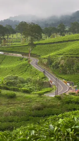 Syahduu 🍃🍃  #rancabaliciwidey #ciwideybandung #bandungbanget #fyp #viralid 