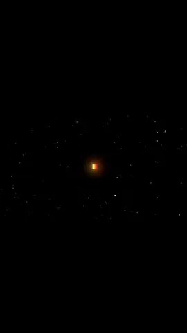 الجمال البلجيكي#مهدي_العبودي 