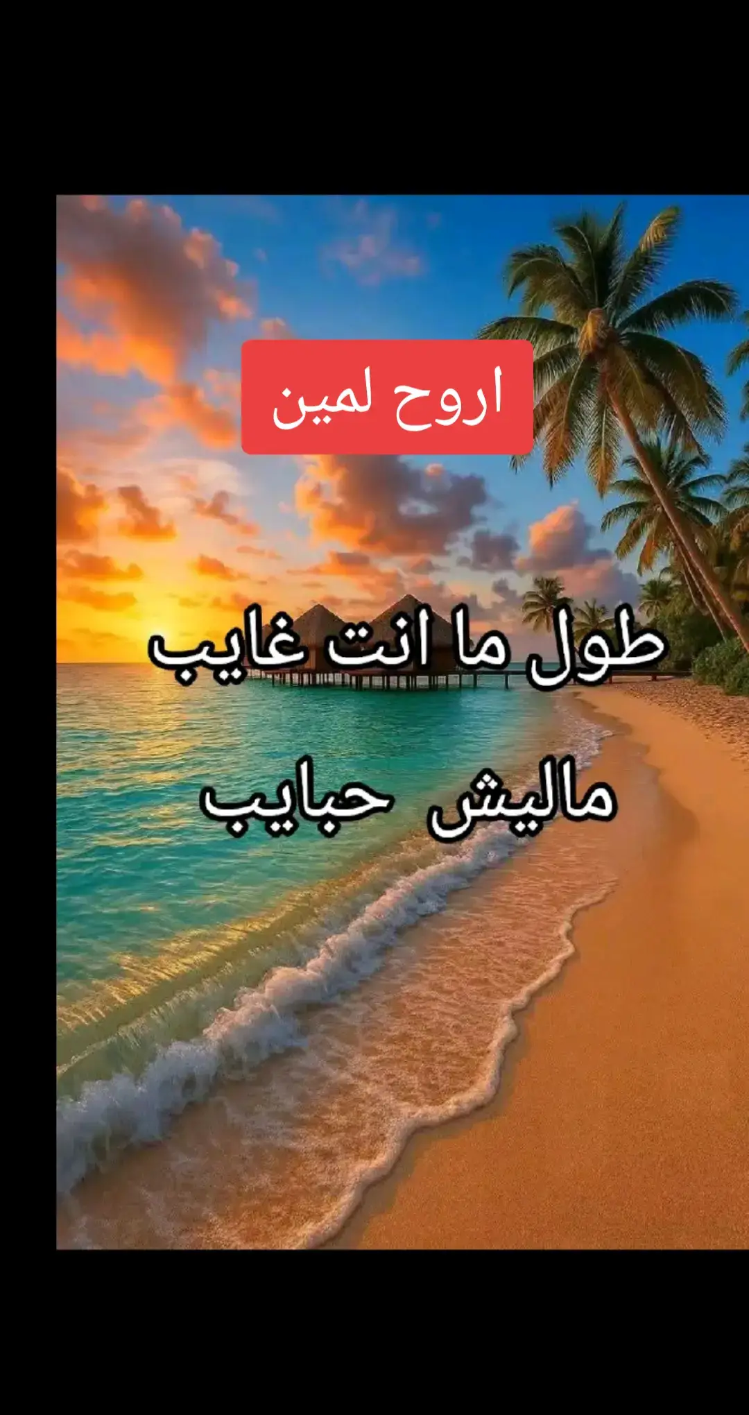 #ام_كلثوم_كوكب_الشرق  #اغانى_الزمن_الجميل 