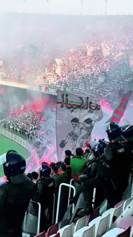 #مولودية🇧🇬🇧🇬_نعشق_فيهااا💚 #حب وعقلية#veragsud💚❤️ #مولوديةالجزائر #