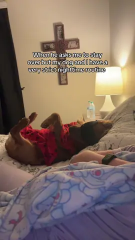 Kylo deserves an award for this #fyp #trending #goldenretriever #dog 