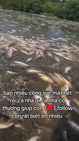 #xuhuongtiktok #xuhuong2025 