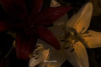 #fyp #yukun #mevisdc #paratiiiiiiiiiiiiiiiiiiiiiiiiiiiiiii  @Yukun 