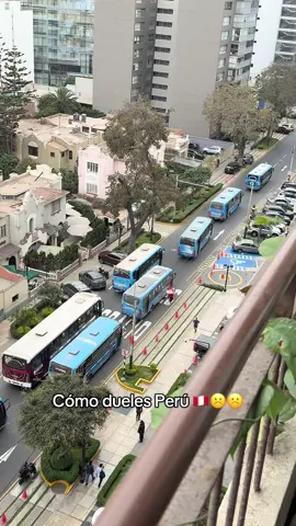 Paro de transportistas, Perú