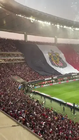 #chivas #guadalajarajalisco #rebañosagrado #chivasfemenil  @Chivas 