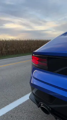 sorry grandpa, bayside blue Z actually pretty cool #RZ34 #nissanz #vr30 #400z 