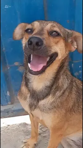 #recuerdame #filtroia #CapCut  solo te veo en mis sueños . porq desapareciste sin dejar rastro .