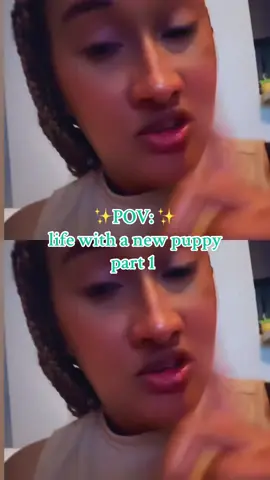 POV: life with a new puppy ✨ #newpuppy #puppyteething #bougieblackgirl #bougieonabudget #blackgirlcontentcreator 