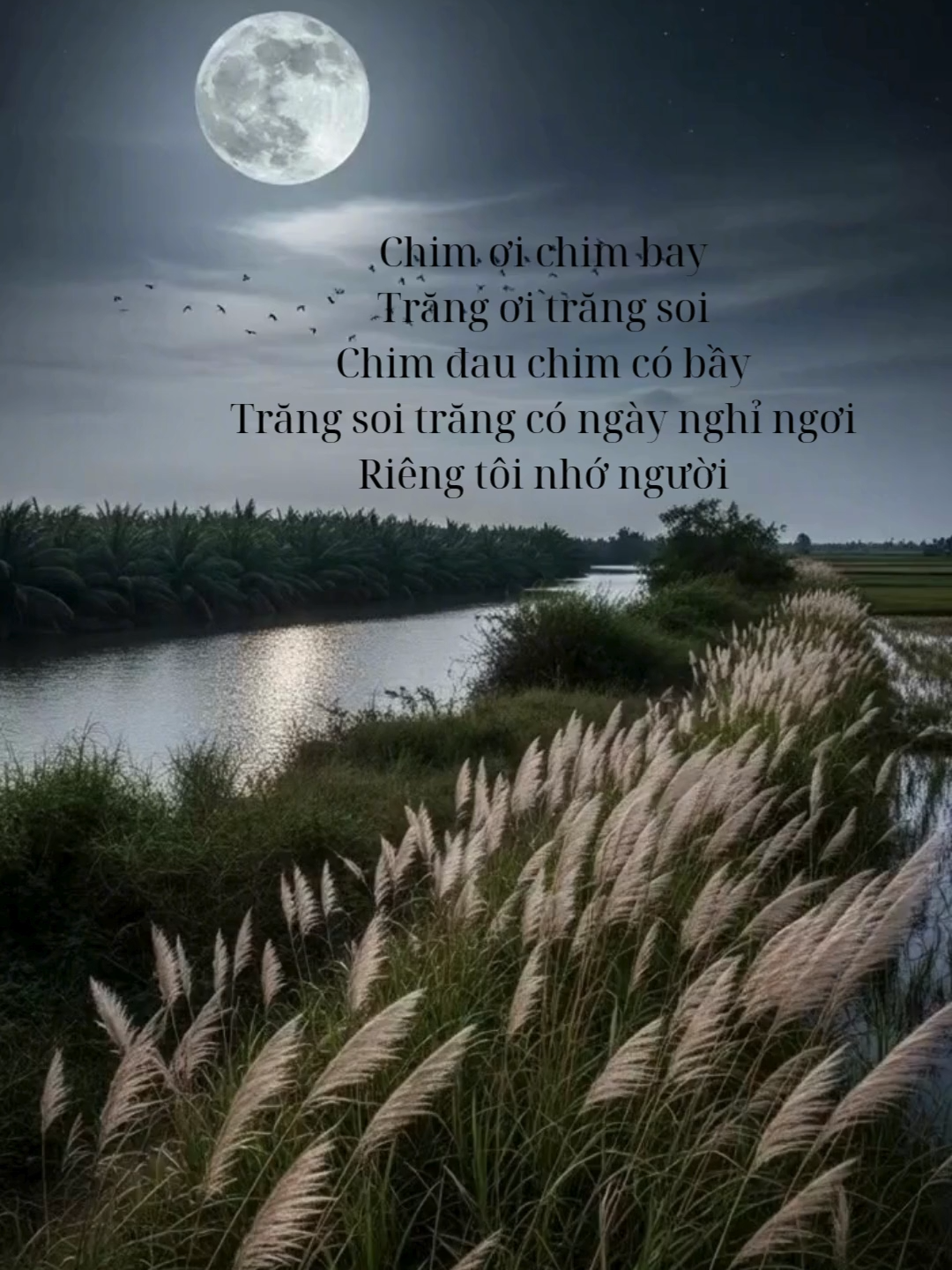 Chim ơi chim bay Trăng ơi trăng soi Chim đau chim có bầy Trăng soi trăng có ngày nghỉ ngơi Riêng tôi nhớ người#Vietnam #8x9x #xuhuong #Hoainiem #viral #trending #relax #foryou #vibes #aesthetic #nature