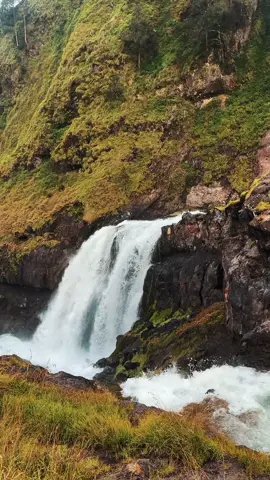Air terjun Segara Anak ini muncul pas musim hujan, menghadirkan kejutan alam yang begitu megah di tengah heningnya Rinjani. Alam selalu punya cara untuk membuat kita kagum. Info trip WA/ +6287767092477 #rinjani #lombok #sembalun #discoverersembalun 