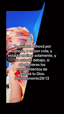 Los mandamientos no son una opción, es una orden de Dios. 🙏#fyp #viral 