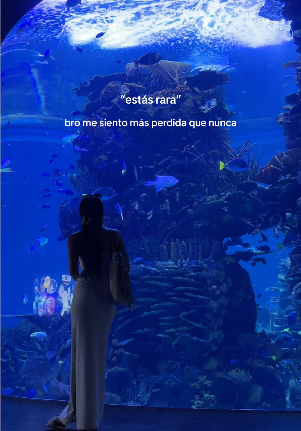 :(. #fypシ゚                                                                      #fyppppppppppppppppppppppp #fallinlove #fallinloveagain #lost 