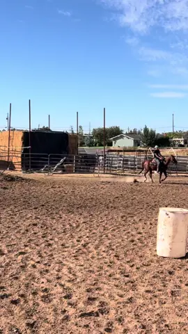 Just a little barrel practice #fyp #barrelracing 