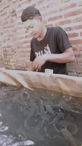 lha Yooo...seng makani durung sarapan🤣🤣🤣 #real #hiburan #sorotan