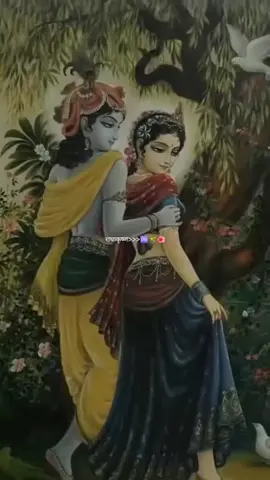 RADHA KRISHNA ❤️🦚 #radhakrishna #jaishreekrishna #fypviralシ #foryou #fypviralシ 